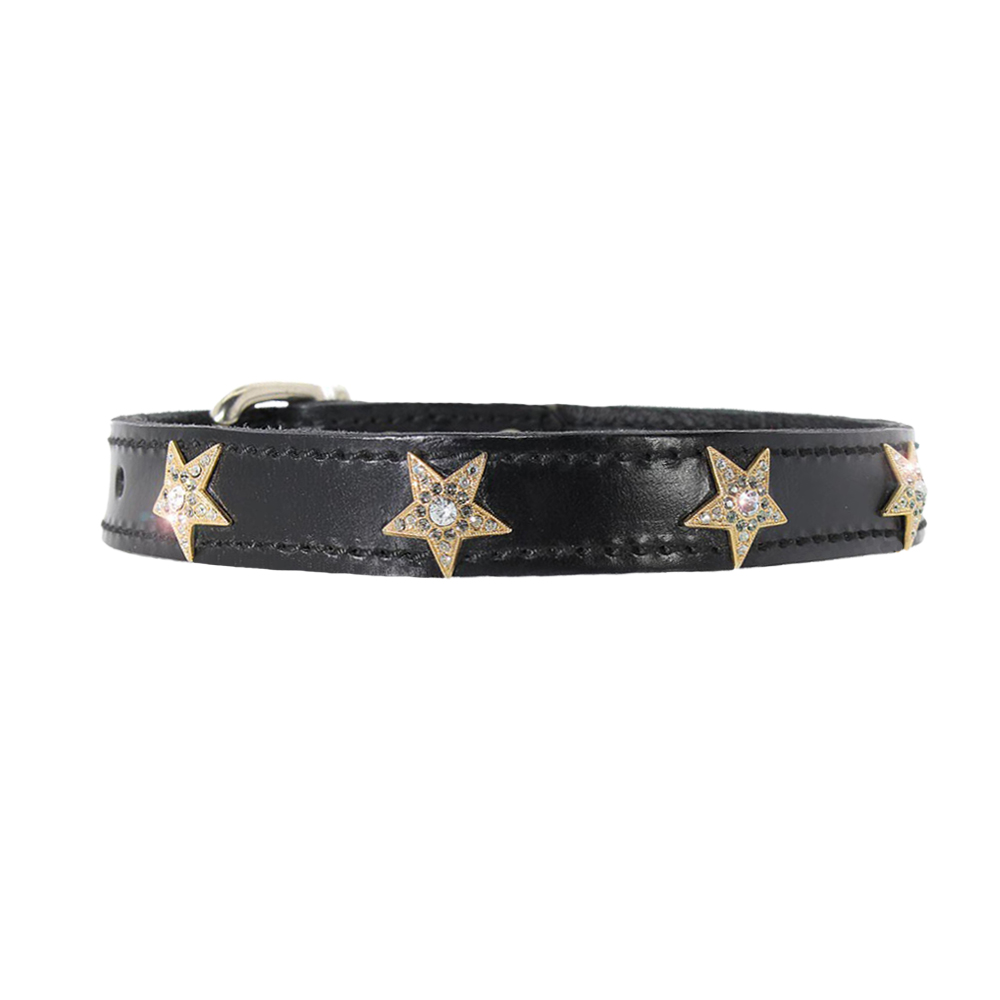 gold diamond dog collar