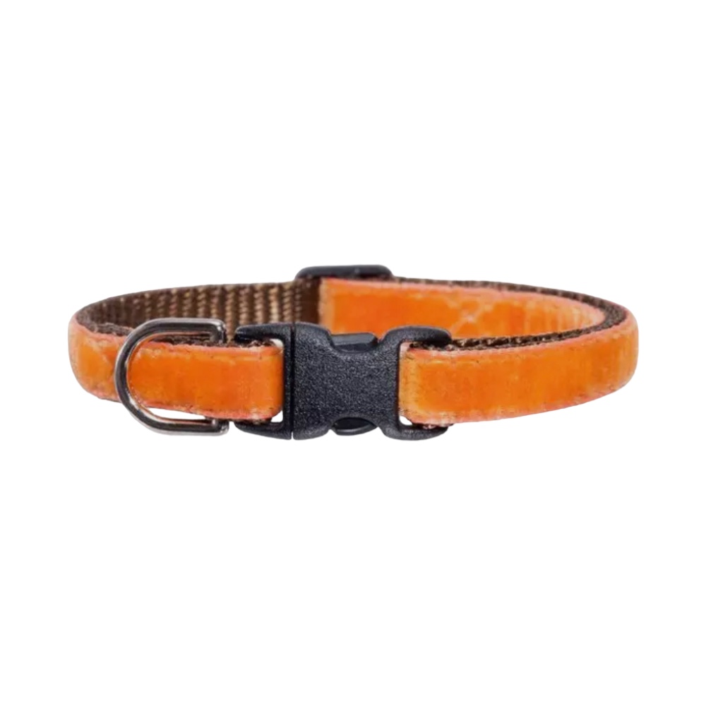 Sweet Pickle | Katthalsband i Sammet, Orange